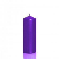 BARTEK CANDLES Svíčka klasik válec 80x200 mm - Fialová tmavá