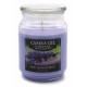 CANDLE-LITE Svíčka dekorativní ve skleněné dóze - Fresh Lavender Breeze  510g