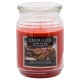 CANDLE-LITE Svíčka dekorativní ve skleněné dóze - COZY WINTER SPICES  510g